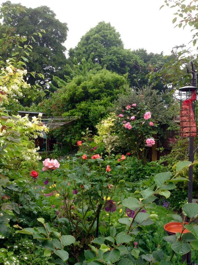 Hyacinth Bed & Breakfast Веллингтон Экстерьер фото